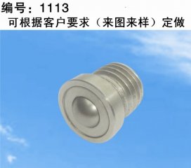 非标万向球1113